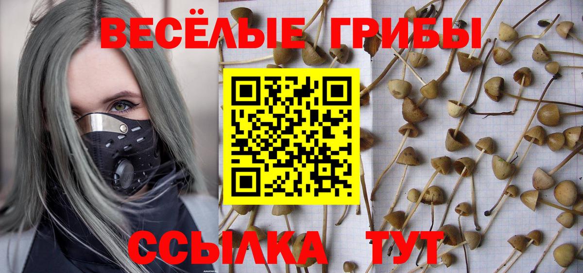 Псилоцибиновые грибы мухоморы Карпинск